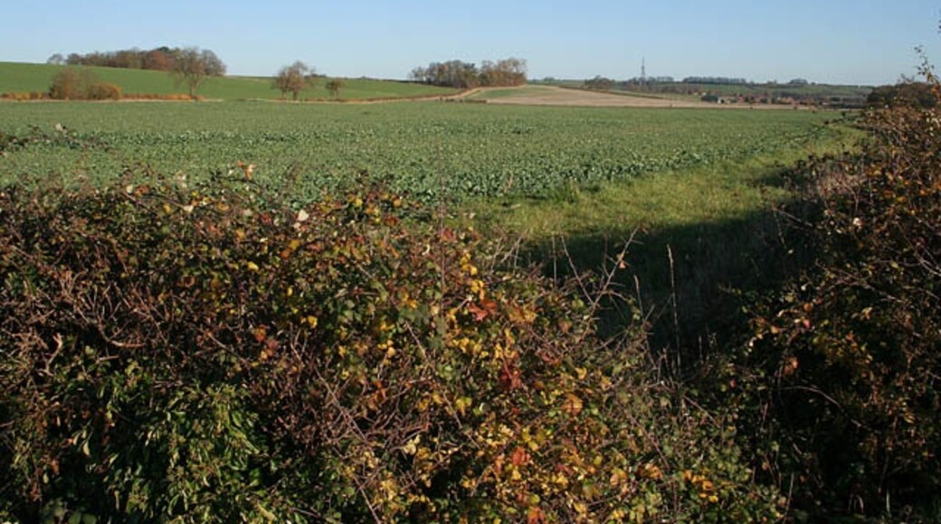 Foto „Honington“ von Kate Jewell (CC BY-SA)/zugeschnittenes Original