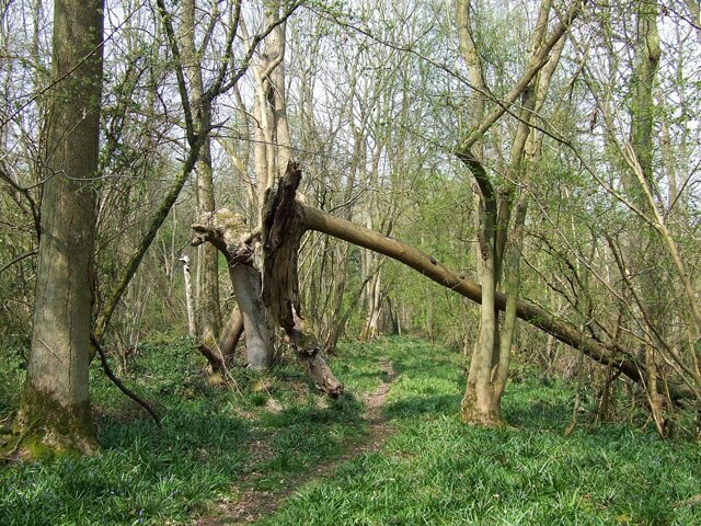 Billede "Romsley" af Roger Kidd (CC BY-SA) / beskåret fra det originale billede