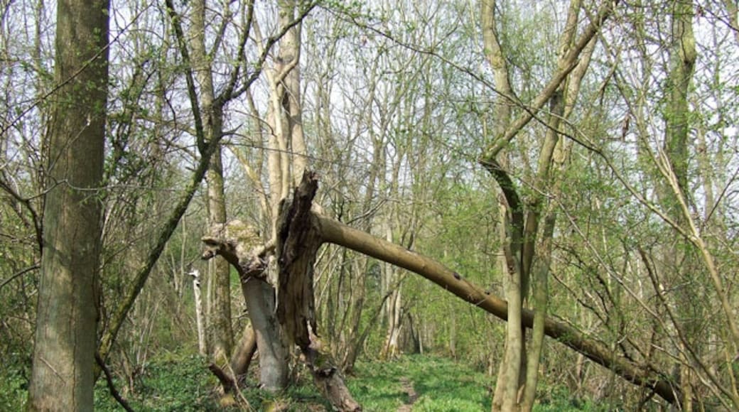 Billede "Romsley" af Roger Kidd (CC BY-SA) / beskåret fra det originale billede