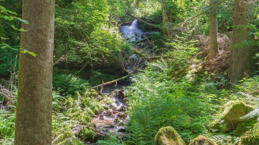 Photo "Atzenbacher Wasserfall, Zustand ist leider sehr vernachlässigt, nur schwer zugänglich, da Bauschutt abgeladen wurde" by PantaRhei (Creative Commons Attribution-Share Alike 4.0) / Cropped from original