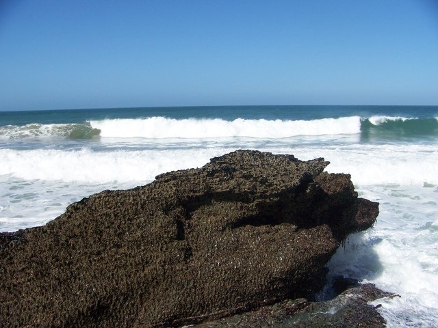 Tregonnick Tail. Low tide exposes the mussels on the rocks on Tregonnick Tail