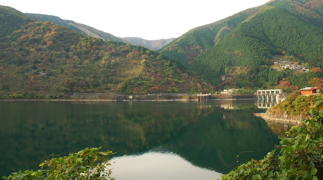 Photo "Lake Okutama" by Yamaguchi Yoshiaki (CC BY-SA) / Cropped from original
