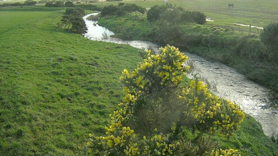 Photo "Garrel Water at Cumleys Gorse flowering in November" by Iain Thompson (Creative Commons Attribution-Share Alike 2.0) / Cropped from original