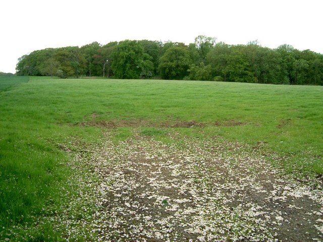 Photo "Milton Bryan" by Rob Farrow (CC BY-SA) / Cropped from original