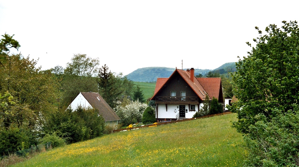 Foto „Dennweiler-Frohnbach“ von Dguendel (page does not exist) (CC BY)/zugeschnittenes Original