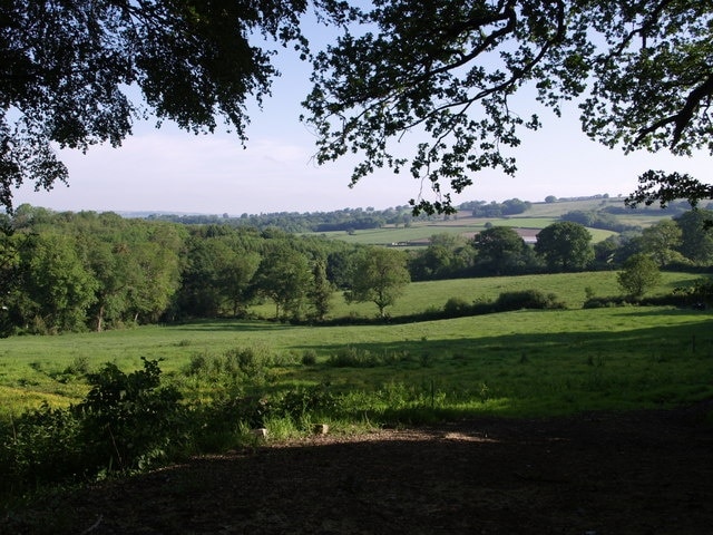 View from Blackwater Lane Fields drop towards Doleham Coppice on the left, down the side of which runs a stream. This is a tributary of the Blackwater River, whose valley is beyond.