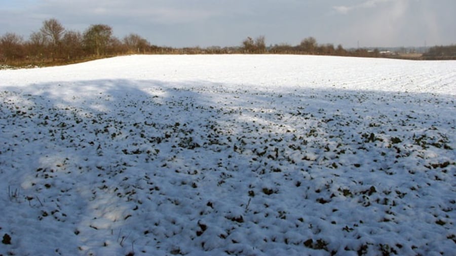 Photo "A cold and wintry day View across a frozen field which adjoins the bridleway leading from The Street in Ketteringham to the A11 road further to the north. The hedge and trees seen in the background denote the course of the Norwich to Ely railway line." by Evelyn Simak (Creative Commons Attribution-Share Alike 2.0) / Cropped from original