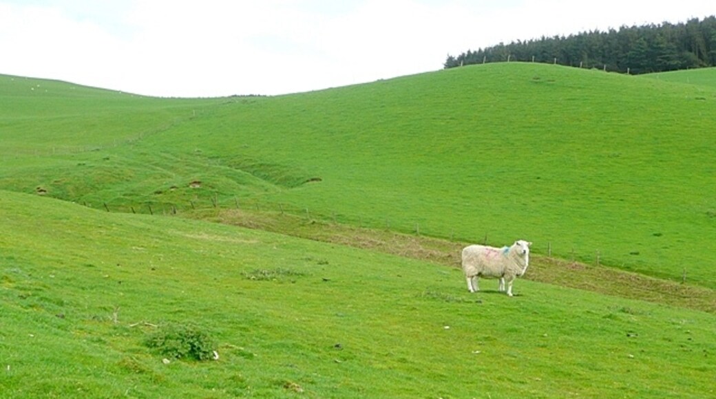 Photo "New Radnor" by Graham Horn (CC BY-SA) / Cropped from original