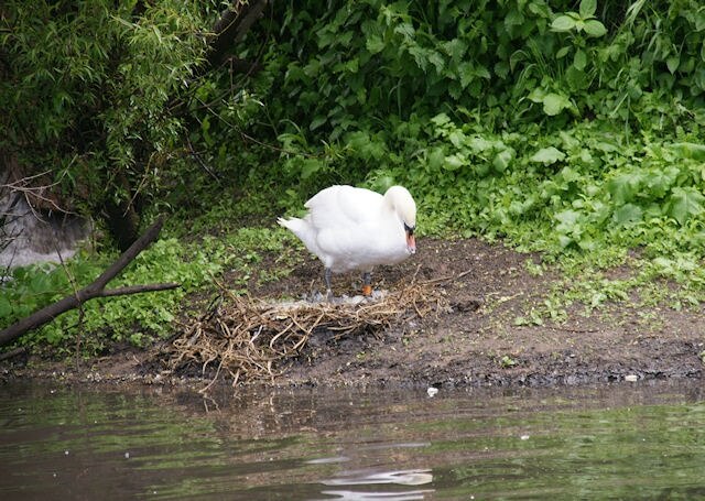 "St. Peter the Great County"-foto av Pierre Terre (CC BY-SA) / Urklipp från original