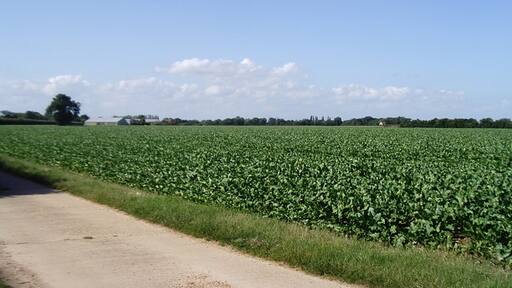 照片“大霍克斯利” 拍摄者:David Kemp(CC BY-SA)原片经过裁剪