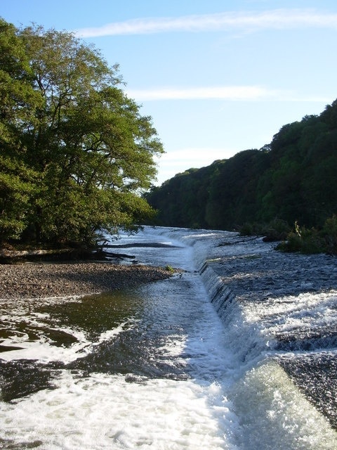 The Yearl, River Derwent