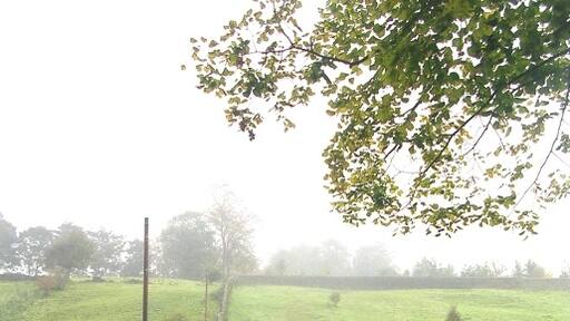 Foto “Steeton y Eastburn” tomada por Betty Longbottom (CC BY-SA); recorte de la original