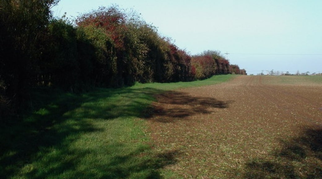 Photo "Patrington" by Paul Glazzard (CC BY-SA) / Cropped from original