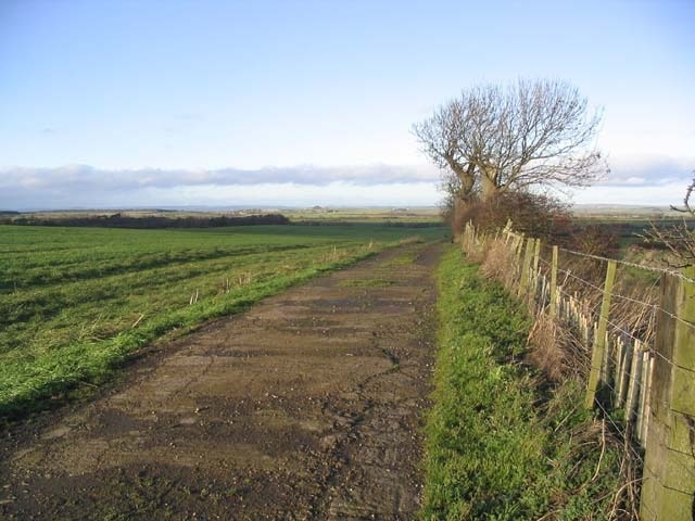 Track by a field at Bowsden This short section of tarmac road joins a track running for 700m beside this field at Bowsden West Farm.