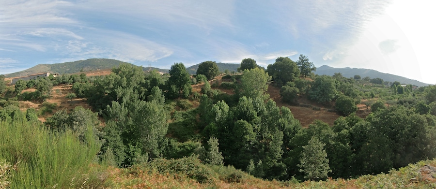 Losar de la Vera (Cáceres, España).