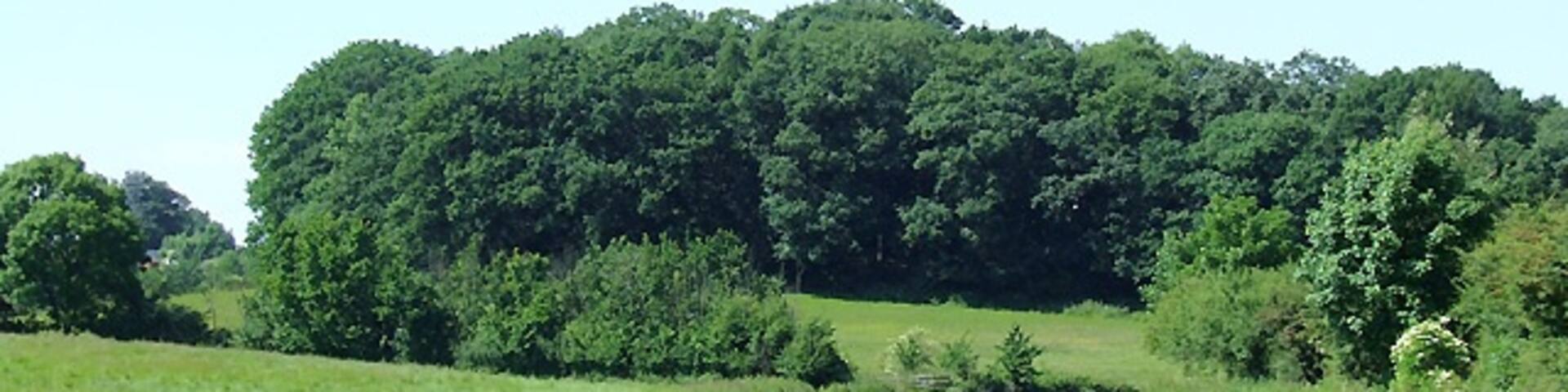 The Coventry Canal near Mancetter, Warwickshire This rural section of the canal bypassing Mancetter was the last that James Brindley constructed before being sacked by the company, which had run out of money on reaching Atherstone (about another half a mile ahead) in 1771.