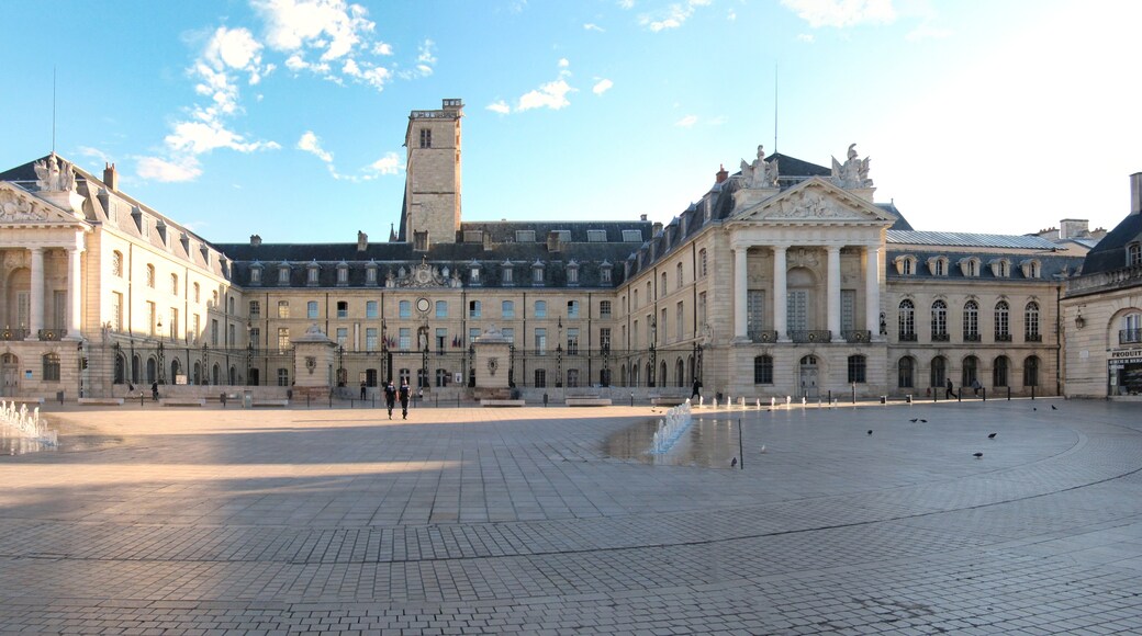 Palais des ducs de Bourgogne, Dijon, Côte-d'Or (département), France