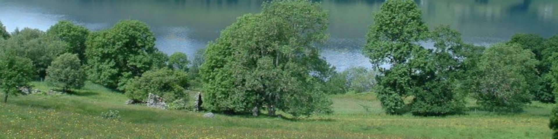 Tayside looking towards Ben Lawers.