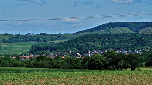 Photo "Knittlingen" by Augenstein (CC BY-SA) / Cropped from original