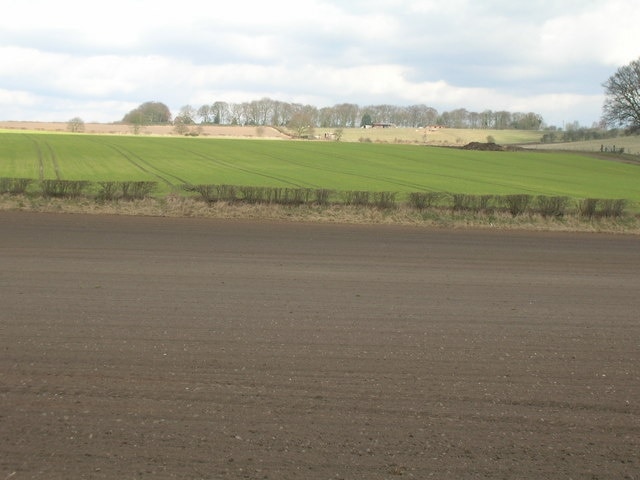 Farmland off the B6020