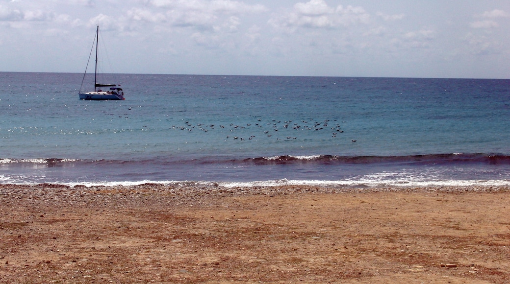 Photo "Playa de Tabarca" by Carlos Ramón Bonilla… (CC BY-SA) / Cropped from original