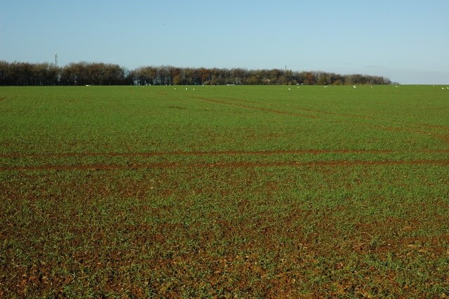 Ảnh "Elkstone" của Philip Halling (CC BY-SA) / Cắt từ ảnh gốc