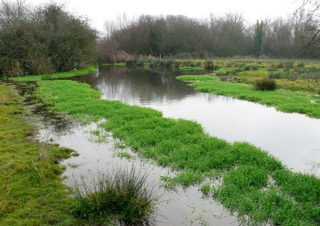 River Piddle View SE downstream at Druce Farm NW of Puddletown. The rivers and waterways in this valley were heavily managed in previous centuries to supply water meadows such as this one. Additionally, many water cress beds were established here