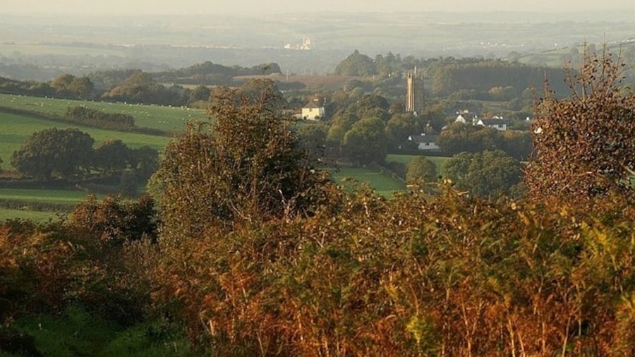Photo "Towards South Tawton from Ramsley Hill. A path descends from the top of Ramsley Hill between high bracken and bramble. The elements in the middle distance are in SX6594, including the tower of South Tawton church. In the distance is 335844, about 8 km away." by Derek Harper (Creative Commons Attribution-Share Alike 2.0) / Cropped from original