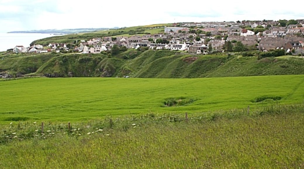"Newtonhill"-foto av Anne Burgess (CC BY-SA) / Urklipp från original