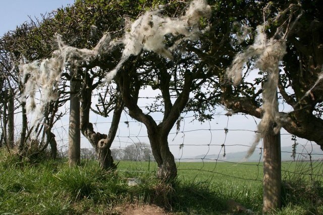 Foto “Hutton Mulgrave” tomada por Mick Garratt (CC BY-SA); recorte de la original