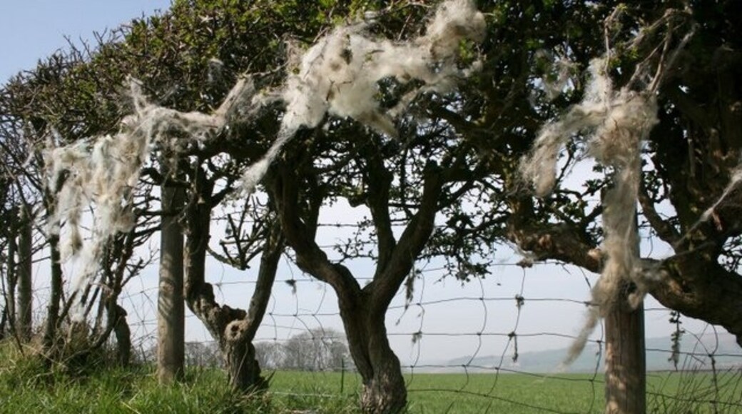 "Hutton Mulgrave"-foto av Mick Garratt (CC BY-SA) / Urklipp från original