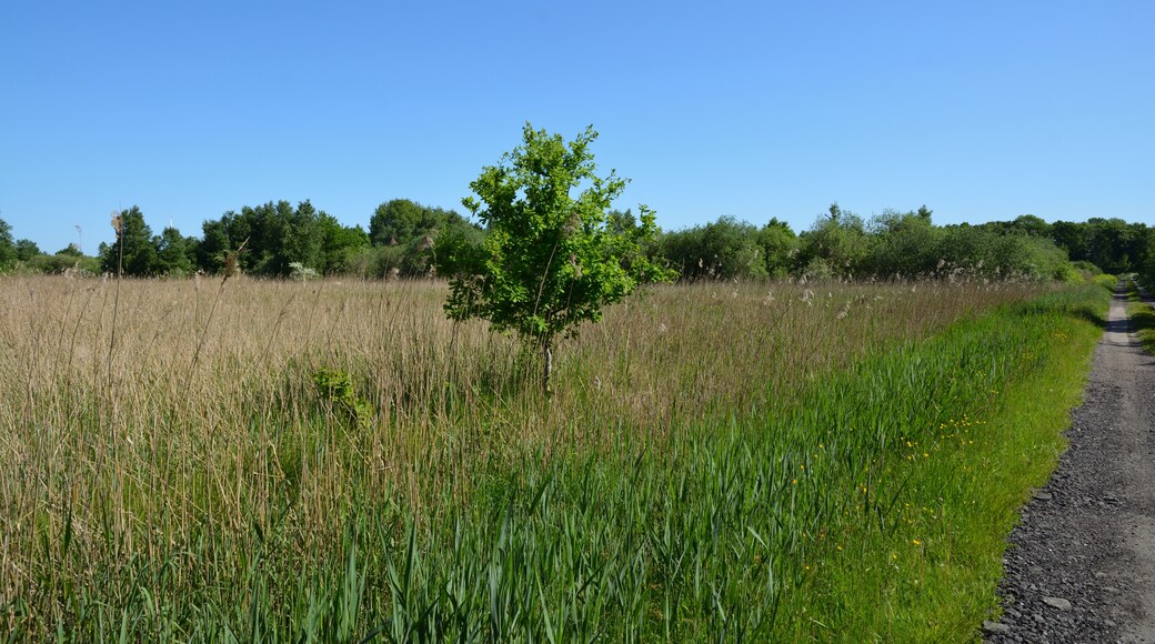 Photo "Kummerfeld" by Nightflyer (CC BY-SA) / Cropped from original