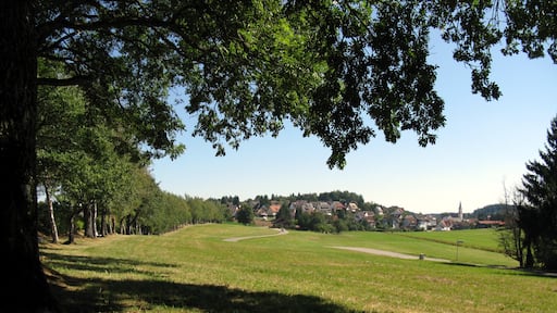 Foto ‘Löffingen’ van Andreas Schwarzkopf (CC BY-SA) / bijgesneden versie van origineel