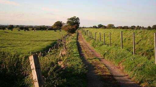 Kuva ”Thorpe Pyhän Pietarin kylä” käyttäjältä Richard Croft (CC BY-SA) / rajattu alkuperäisestä kuvasta