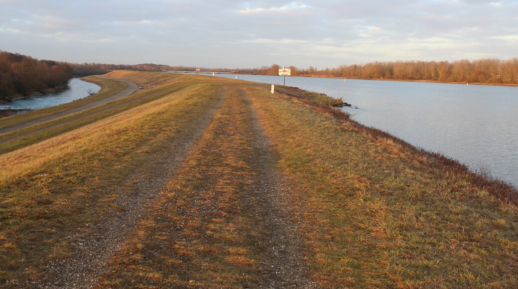 Photo "Neuhäusel" by Zonk43 (page does not exist) (CC BY-SA) / Cropped from original