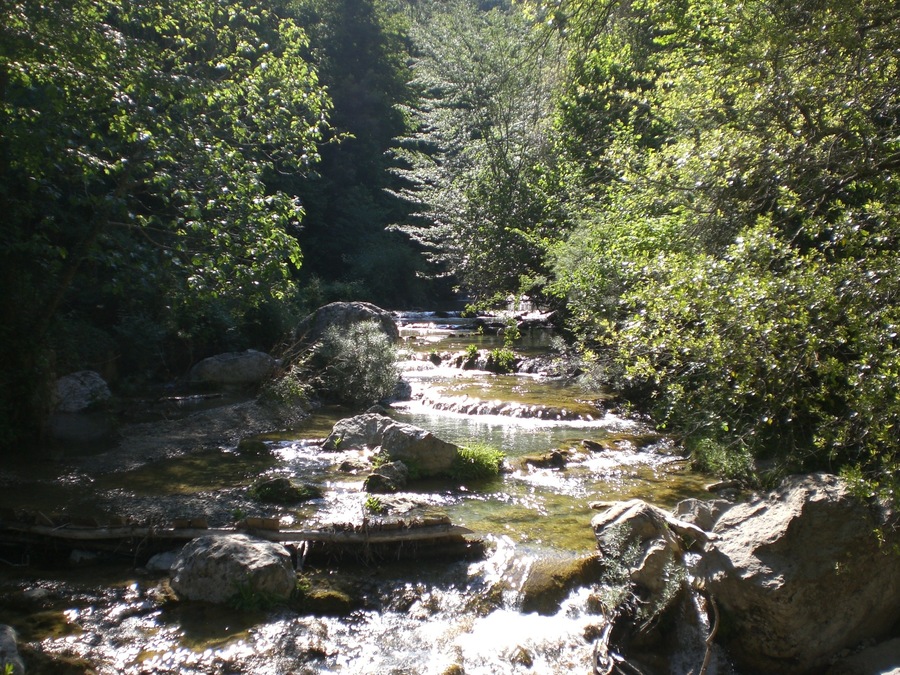 Riera de Sant Aniol (maig 2011)