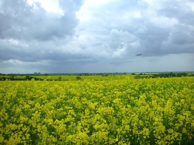 Foto “Chelveston cum Caldecott” tomada por Will Lovell (CC BY-SA); recorte de la original