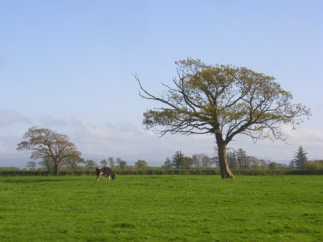 Foto „Holme East Waver“ von Andrew Smith (CC BY-SA)/zugeschnittenes Original