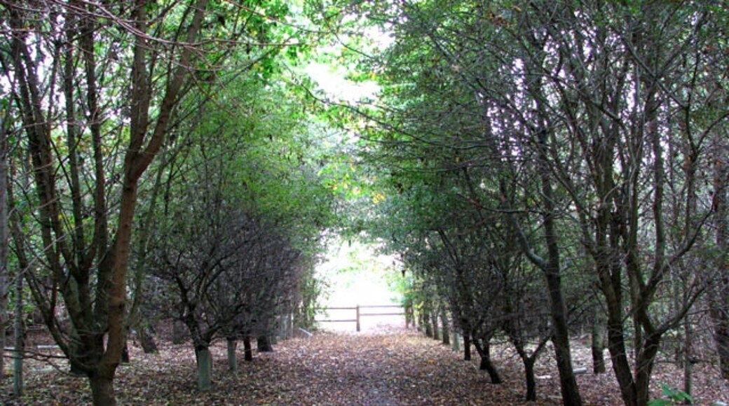 Foto „Poringland“ von Evelyn Simak (CC BY-SA)/zugeschnittenes Original