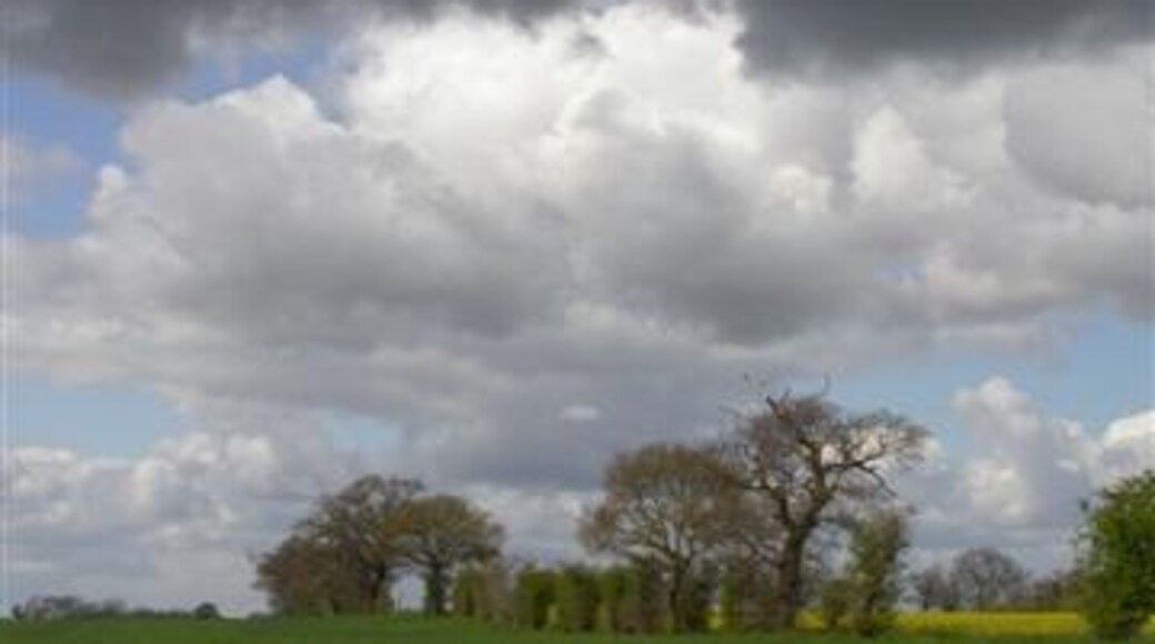 Kuva ”Hemley” käyttäjältä Ben Gamble (CC BY-SA) / rajattu alkuperäisestä kuvasta