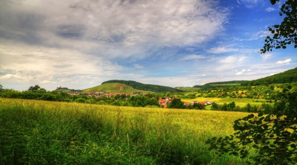 Photo "Oberstenfeld" by Christian Lipp on geo.hlipp.de (CC BY-SA) / Cropped from original