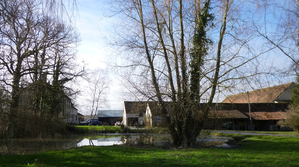 Saint-Maurice-sur-Aveyron, Loiret (département), France