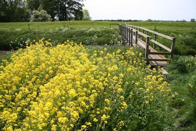 "Great Steeping"-foto av Richard Croft (CC BY-SA) / Urklipp från original