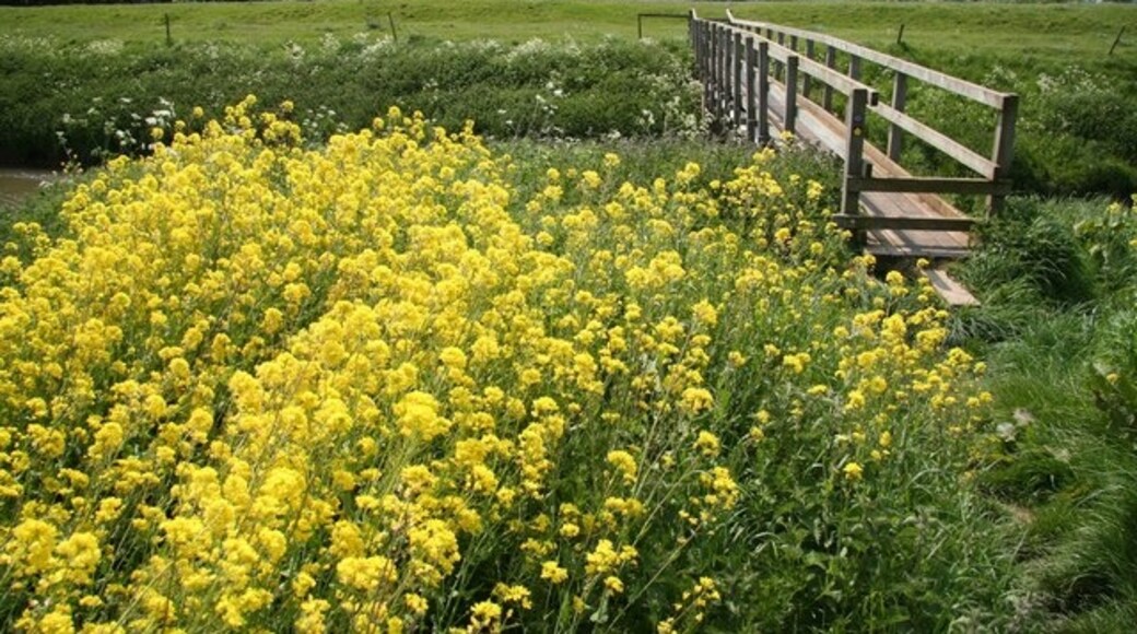 Kuva ”Suuri Steeping” käyttäjältä Richard Croft (CC BY-SA) / rajattu alkuperäisestä kuvasta