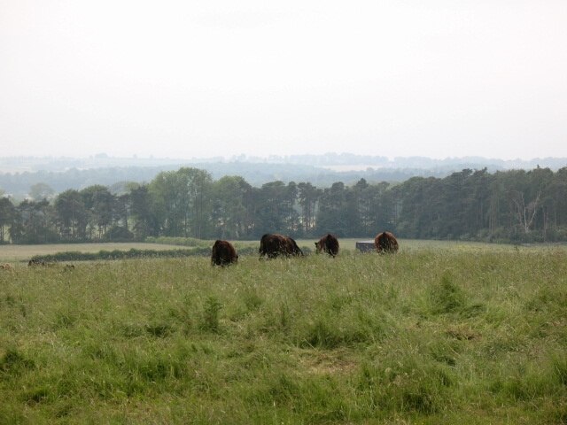 Photo "Theakston" by Gordon Hatton (CC BY-SA) / Cropped from original