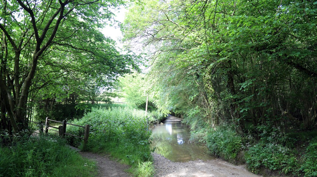 Kuva ”Good Easter” käyttäjältä Acabashi (CC BY-SA) / rajattu alkuperäisestä kuvasta