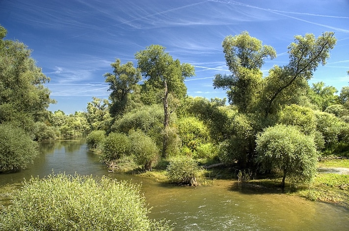 Das Sauer-Delta bei Munchhausen, Alsace, France