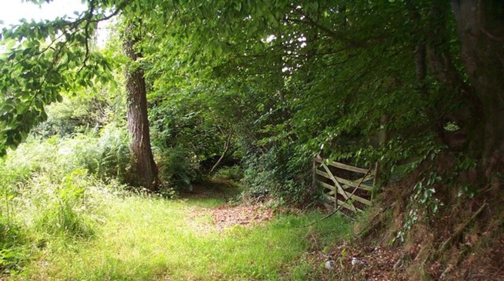 "Huish Champflower"-foto av Barbara Cook (CC BY-SA) / Urklipp från original