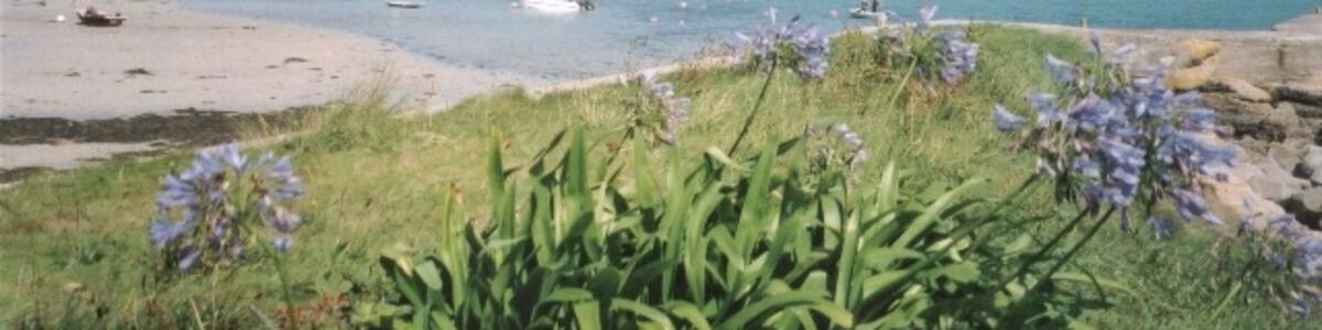 Photo "Old Grimsby Sound Looking north towards St Helen's" by Mel Landells (Creative Commons Attribution-Share Alike 2.0) / Cropped from original