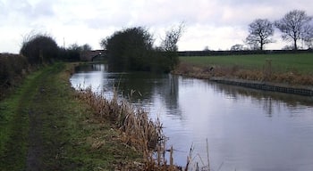 Ashby Canal near Congerstone. Looking West along the canal to Fairfield Bridge in the distance. This part of Leicestershire is generally flat apart from a few gentle undulations and the canal has no locks along its entire length.